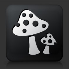 Black Square Button with Mushrooms Icon