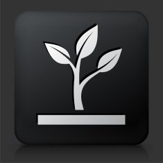 Black Square Button with Growing Plant N7