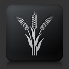 Black Square Button with Wheat Icon N2
