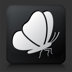 Black Square Button with Butterfly Icon N3