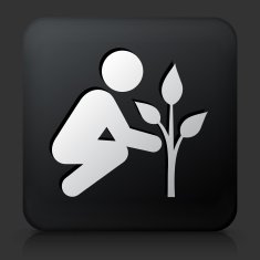 Black Square Button with Tree Planting Icon
