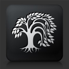 Black Square Button with Tree Icon N26
