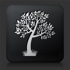 Black Square Button with Tree Icon N27