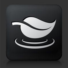 Black Square Button with Leaf Icon N16