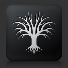 Black Square Button with Tree Icon N28