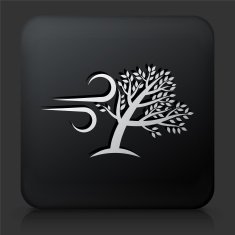 Black Square Button with Tree Wind Icon