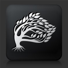 Black Square Button with Tree Icon N29