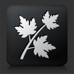 Black Square Button with Branch & Leaves