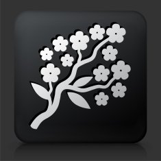 Black Square Button with Flower Branch