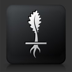 Black Square Button with Growing Plant N8