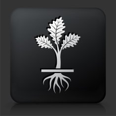 Black Square Button with Growing Plant N9