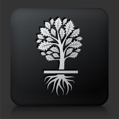 Black Square Button with Growing Tree N2