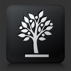 Black Square Button with Growing tree Icon N5