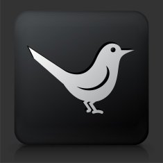 Black Square Button with Bird Icon N11