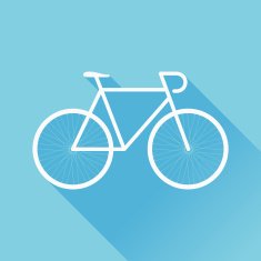 Flat Bicycle N4