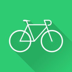 Flat Bicycle N5