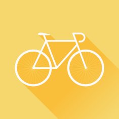 Flat Bicycle N6