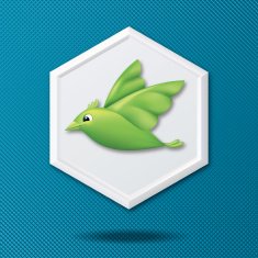 White 3D Hexagon Icon On Blue With Green Bird