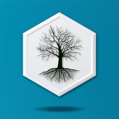 White 3D Hexagon Icon On Blue With Tree and Roots N2