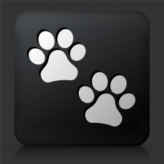 Black Square Button with Paw Prints