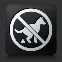 Black Square Button with No Dogs Allowed Sign