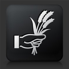 Black Square Button with Hand Holding Grain