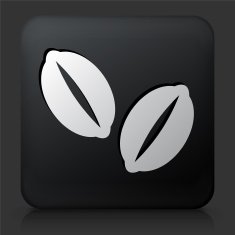 Black Square Button with Coffee Beans N2