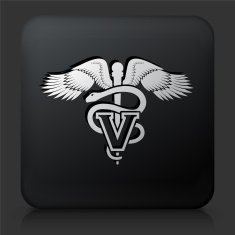 Black Square Button with Veterinary Sign