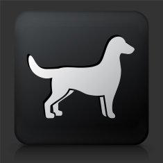 Black Square Button with Dog Silhouette N3