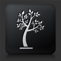 Black Square Button with Tree Icon N32
