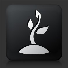 Black Square Button with Sprouting Plant Icon N3