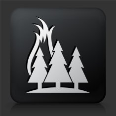 Black Square Button with Forest Fire Icon