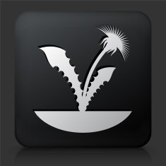 Black Square Button with Plants Icon N4