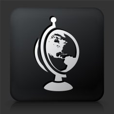 Black Square Button with Globe Icon N14