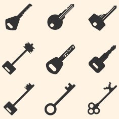 Vector Set of Keys Icons N22