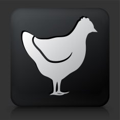 Black Square Button with Chicken Icon