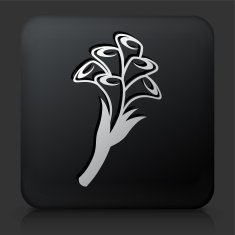 Black Square Button with Flowers Icon