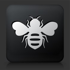 Black Square Button with Honey Bees Icon N2