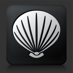 Black Square Button with Sea Shell Icon