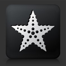 Black Square Button with Starfish