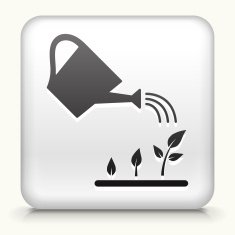 White Square Button with Watering Plants