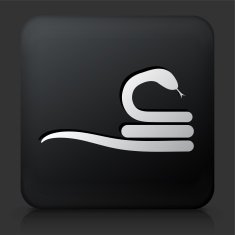 Black Square Button with Curled Up Snake Icon