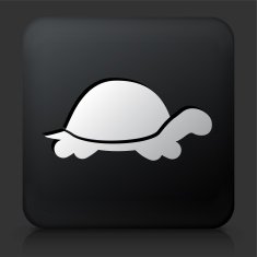 Black Square Button with Turtle Icon