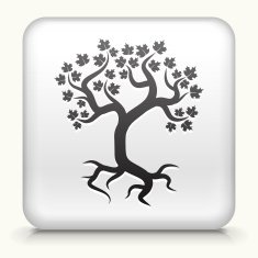 White Square Button with Tree Icon N5