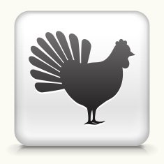 White Square Button with Chicken Icon