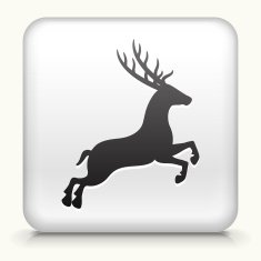 White Square Button with Deer
