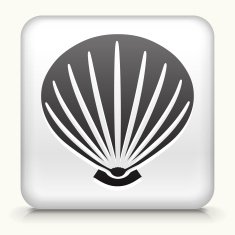 White Square Button with Sea Shell Icon