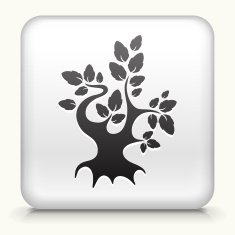 White Square Button with Tree Icon N6