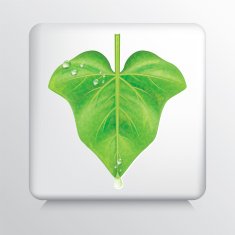 Icon With Fresh Green Ivy Leaf And Water Drop N4