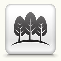 Square Button with Three Trees